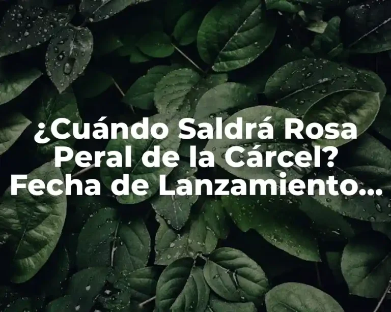 ¿Cuándo Saldrá Rosa Peral de la Cárcel? Fecha de Lanzamiento y Últimas Noticias