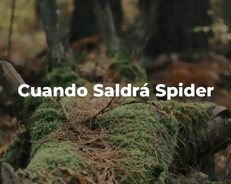 Cuando Saldrá Spider