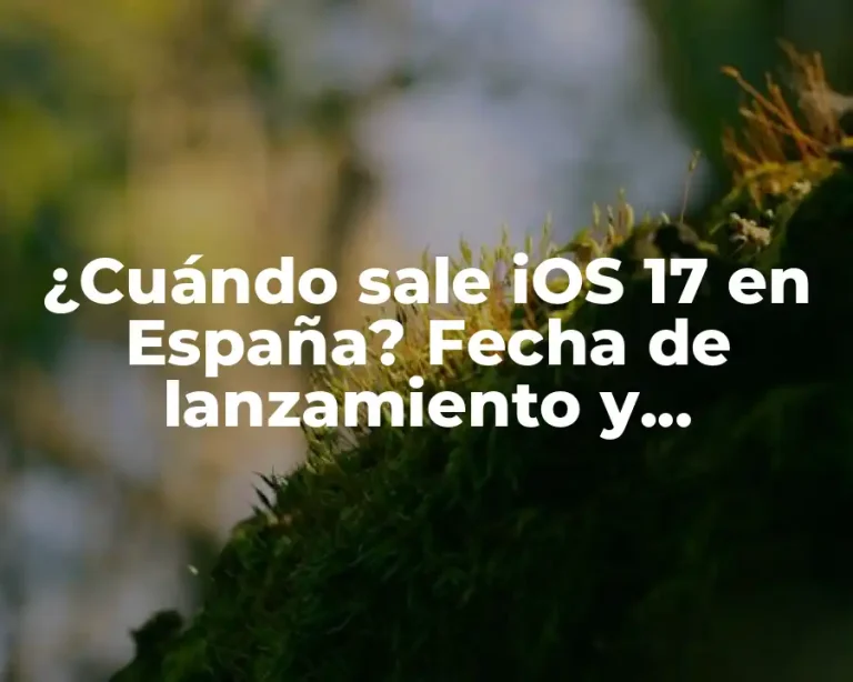 ¿Cuándo sale iOS 17 en España? Fecha de lanzamiento y características