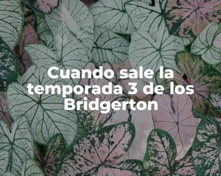 Cuando sale la temporada 3 de los Bridgerton