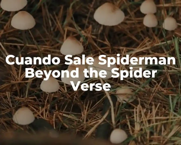 Cuando Sale Spiderman Beyond the Spider Verse