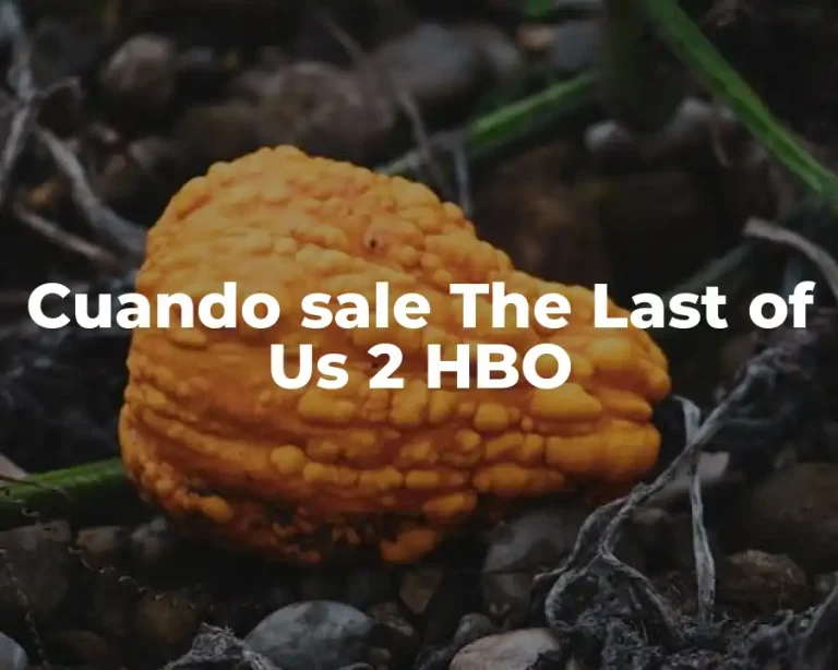 Cuando sale The Last of Us 2 HBO
