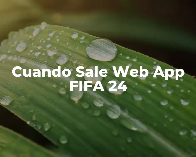 Cuando Sale Web App FIFA 24