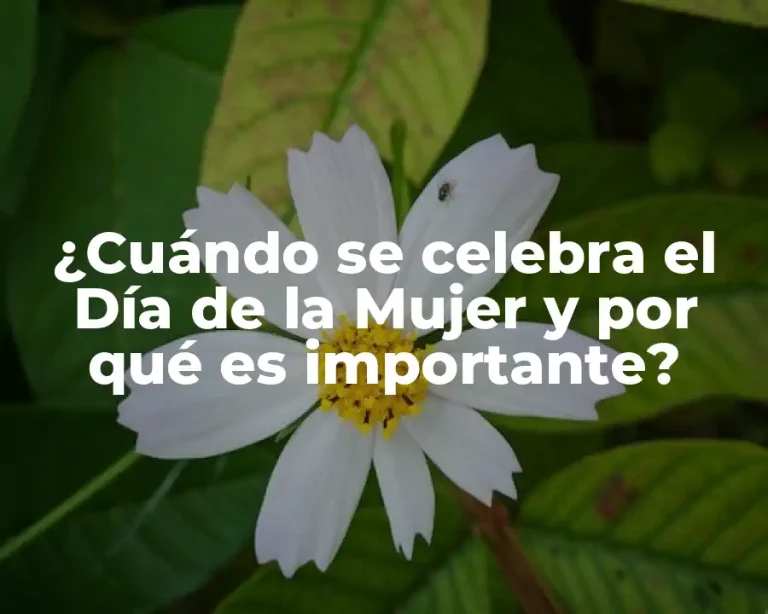 ¿Cuándo se celebra el Día de la Mujer y por qué es importante?