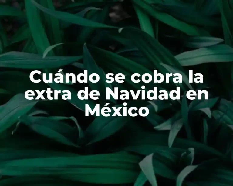 Cuándo se cobra la extra de Navidad en México