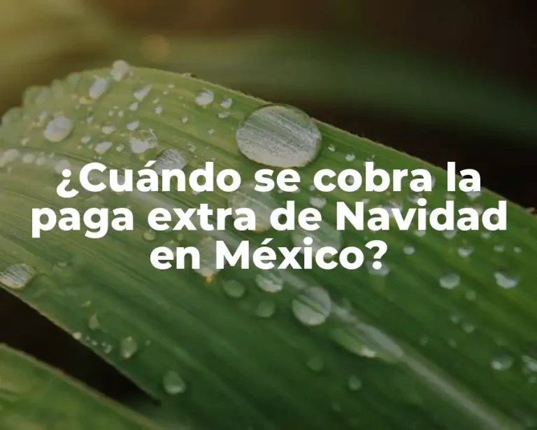¿Cuándo se cobra la paga extra de Navidad en México?