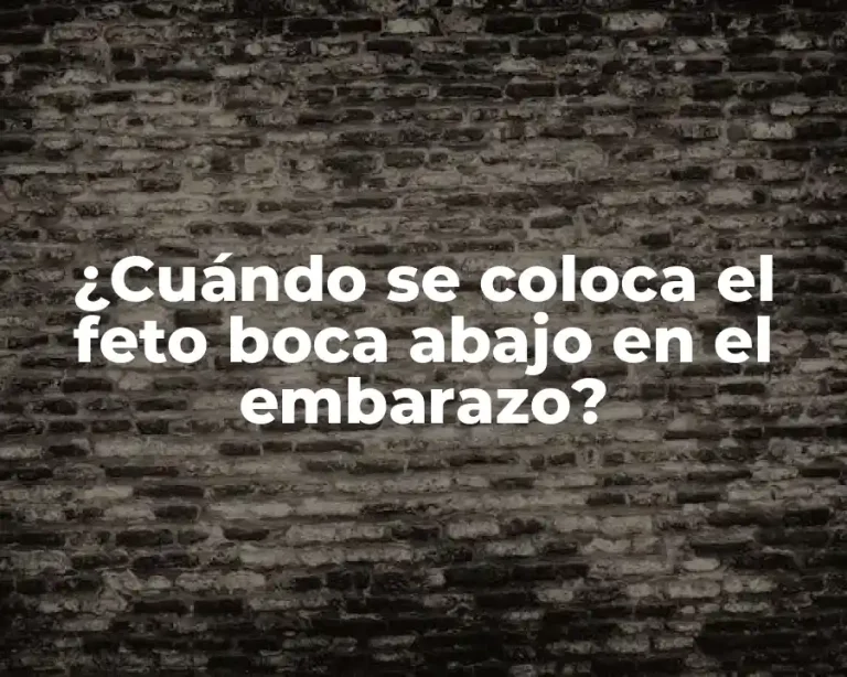 ¿Cuándo se coloca el feto boca abajo en el embarazo?