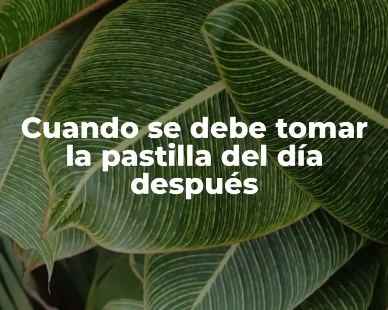 Cuando se debe tomar la pastilla del día después