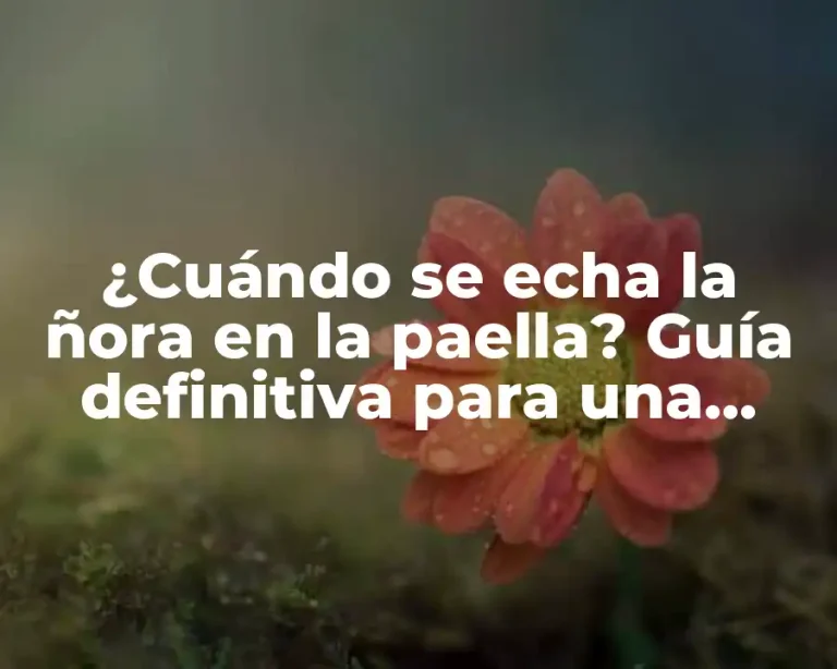 ¿Cuándo se echa la ñora en la paella? Guía definitiva para una paella auténtica