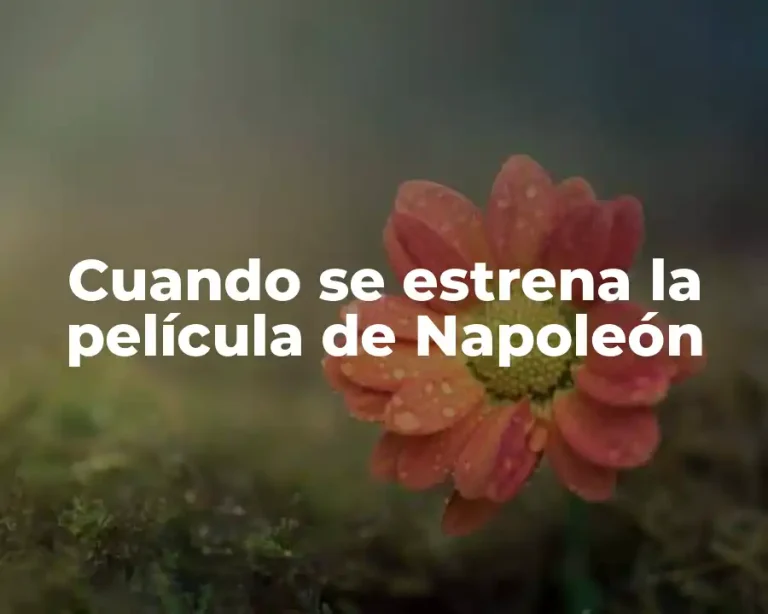 Cuando se estrena la película de Napoleón