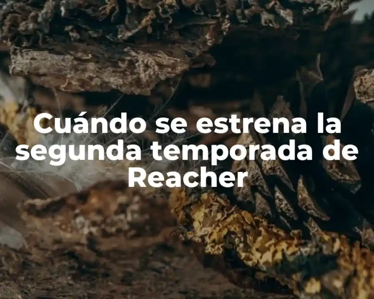 Cuándo se estrena la segunda temporada de Reacher
