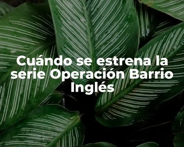 Cuándo se estrena la serie Operación Barrio Inglés