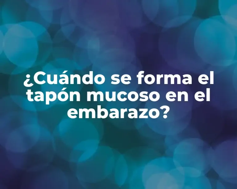 ¿Cuándo se forma el tapón mucoso en el embarazo?