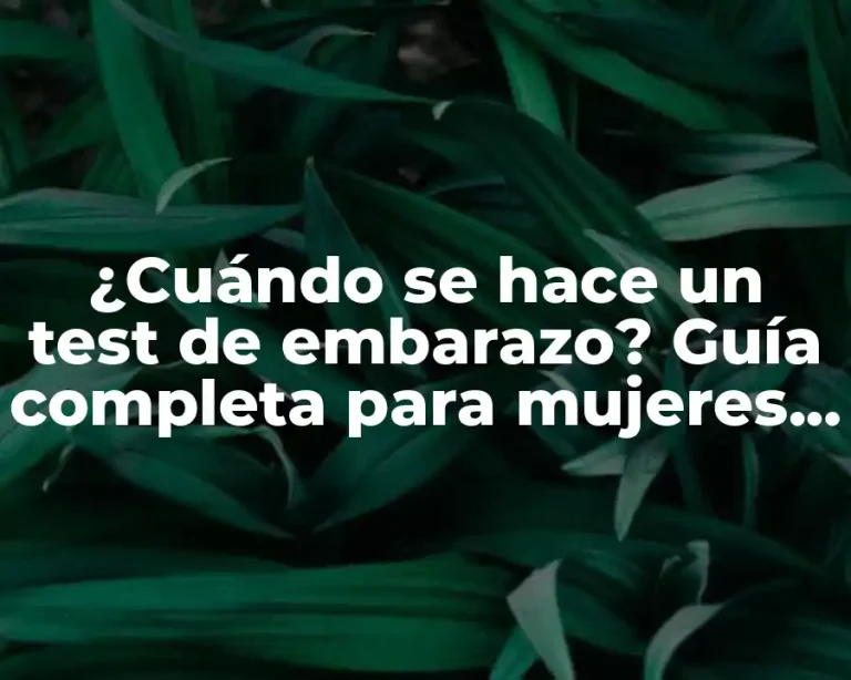 ¿Cuándo se hace un test de embarazo? Guía completa para mujeres embarazadas