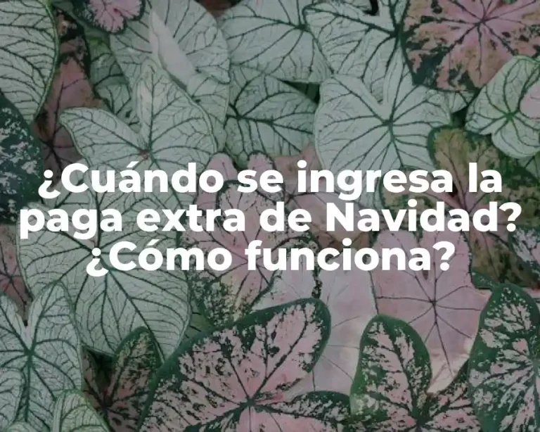 ¿Cuándo se ingresa la paga extra de Navidad? ¿Cómo funciona?
