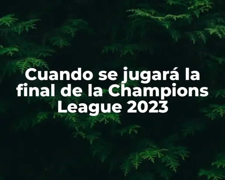 Cuando se jugará la final de la Champions League 2023