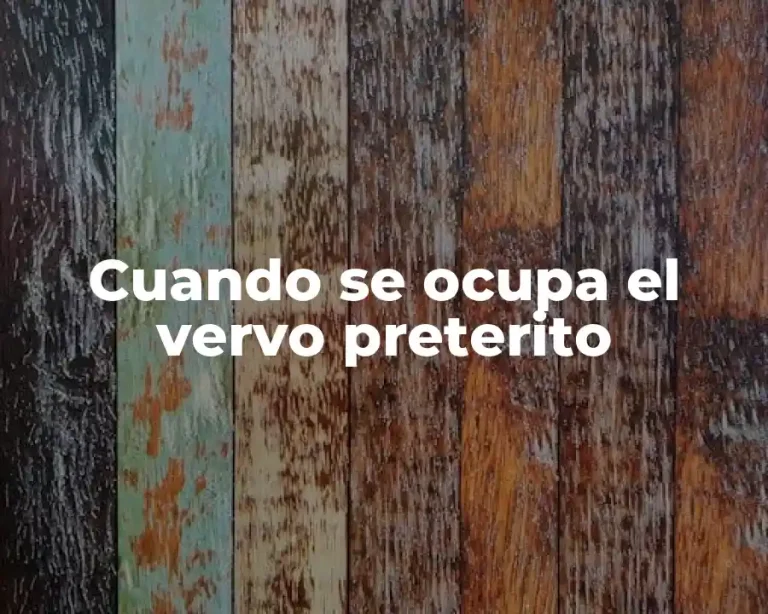 Cuando se ocupa el vervo preterito