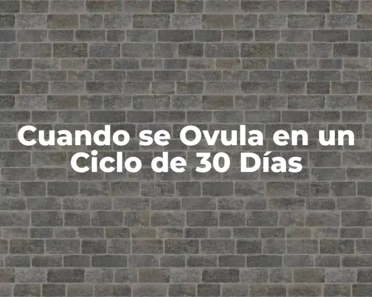 Cuando se Ovula en un Ciclo de 30 Días