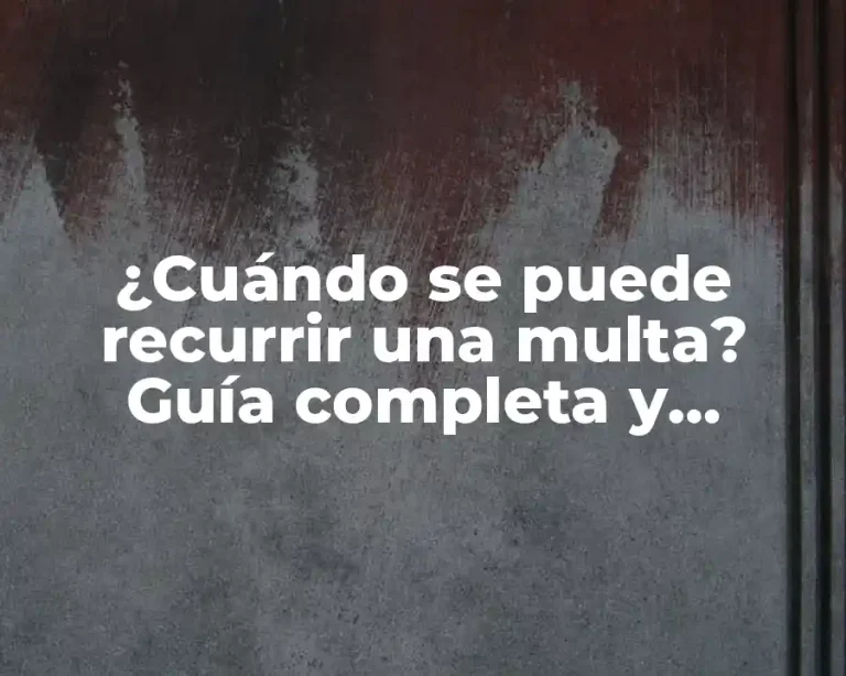¿Cuándo se puede recurrir una multa? Guía completa y detallada