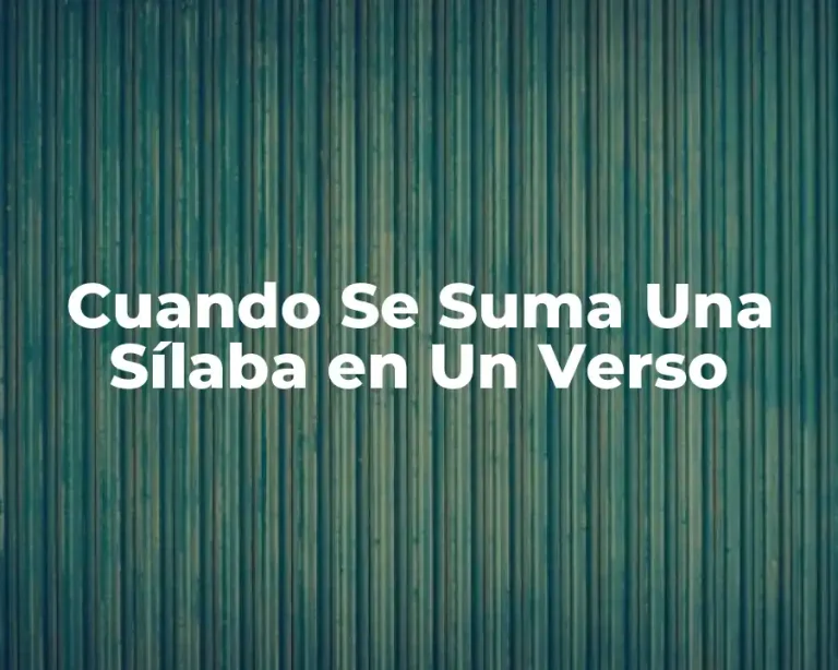 Cuando Se Suma Una Sílaba en Un Verso