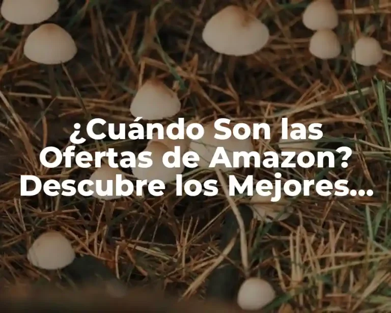 ¿Cuándo Son las Ofertas de Amazon? Descubre los Mejores Días para Comprar