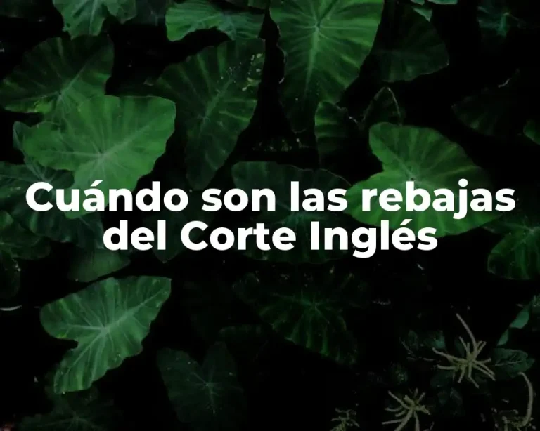 Cuándo son las rebajas del Corte Inglés