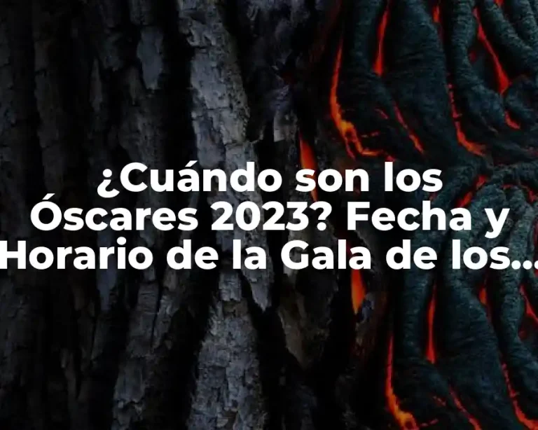 ¿Cuándo son los Óscares 2023? Fecha y Horario de la Gala de los Premios Óscar
