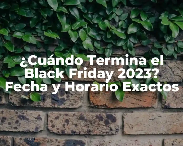 ¿Cuándo Termina el Black Friday 2023? Fecha y Horario Exactos