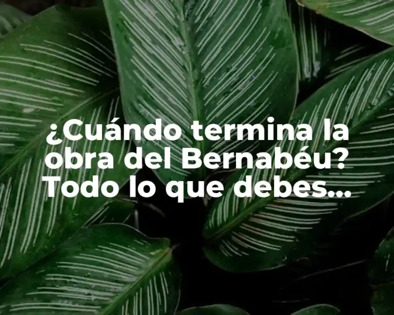 ¿Cuándo termina la obra del Bernabéu? Todo lo que debes saber