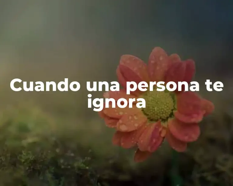 Cuando una persona te ignora
