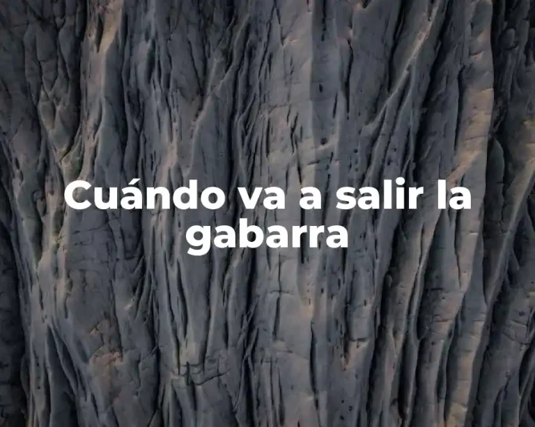 Cuándo va a salir la gabarra