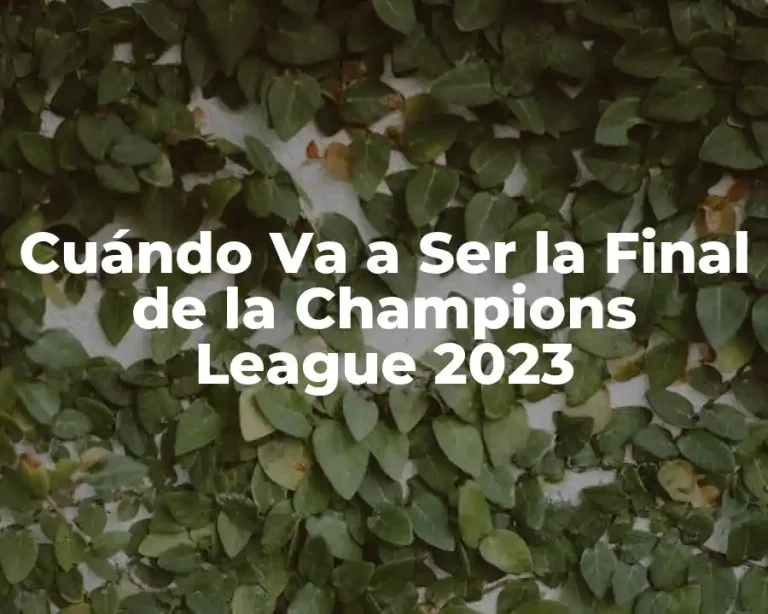 Cuándo Va a Ser la Final de la Champions League 2023