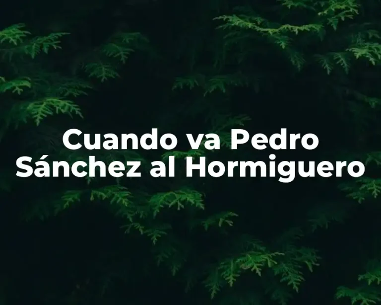 Cuando va Pedro Sánchez al Hormiguero