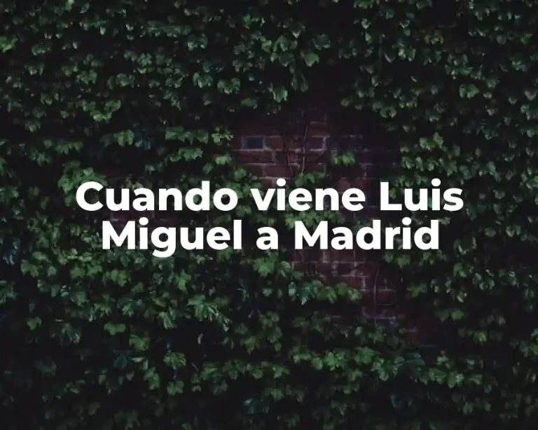 Cuando viene Luis Miguel a Madrid
