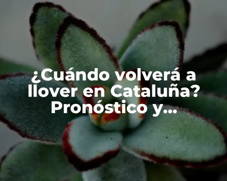 ¿Cuándo volverá a llover en Cataluña? Pronóstico y previsiones climáticas