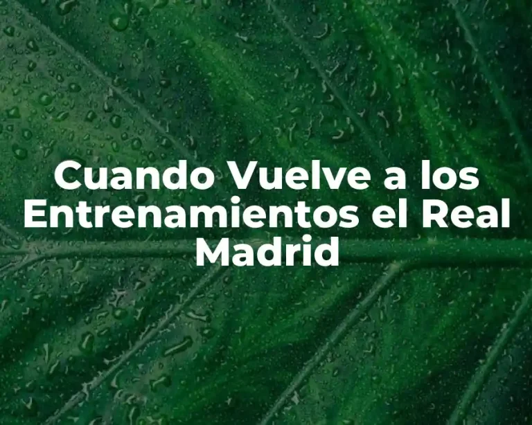Cuando Vuelve a los Entrenamientos el Real Madrid