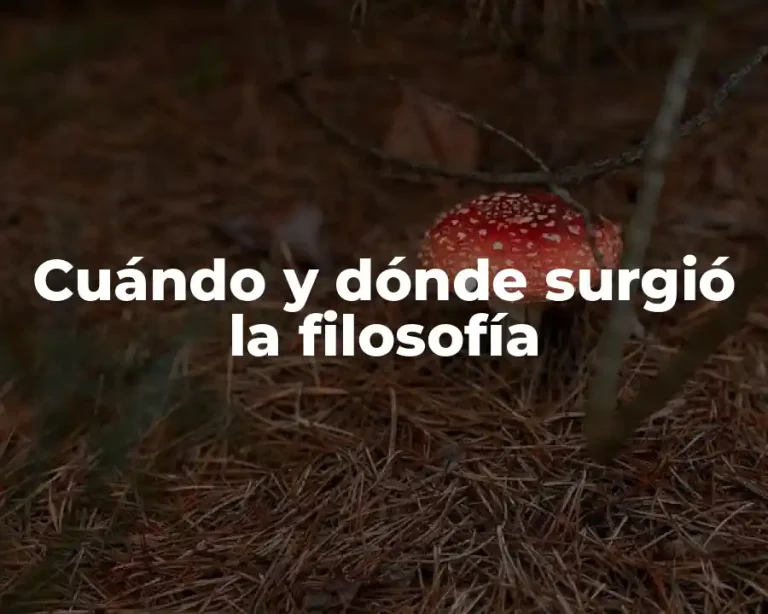 Cuándo y dónde surgió la filosofía
