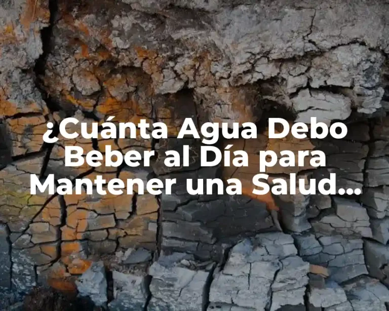 ¿Cuánta Agua Debo Beber al Día para Mantener una Salud Óptima?