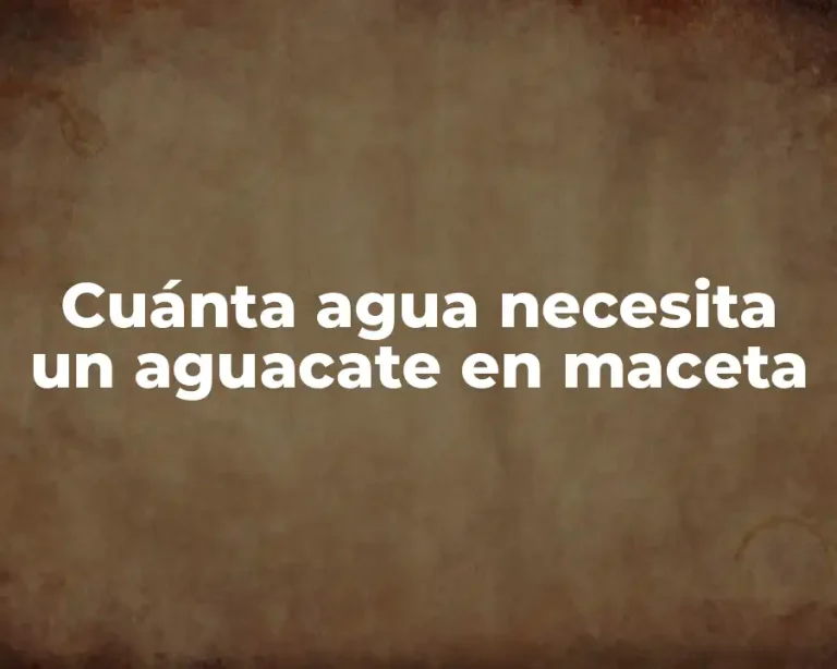 Cuánta agua necesita un aguacate en maceta