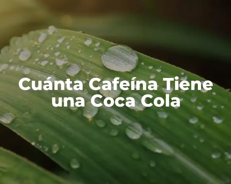 Cuánta Cafeína Tiene una Coca Cola