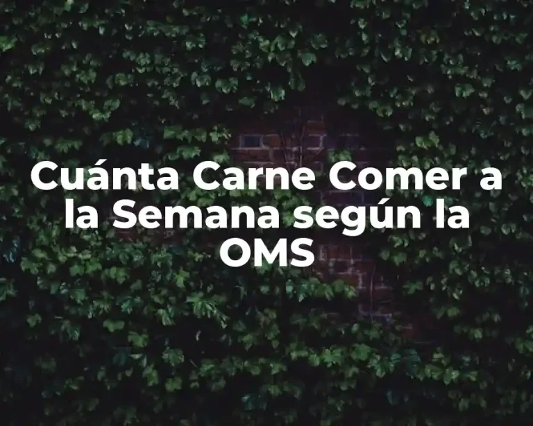 Cuánta Carne Comer a la Semana según la OMS