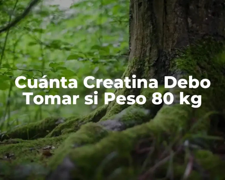 Cuánta Creatina Debo Tomar si Peso 80 kg