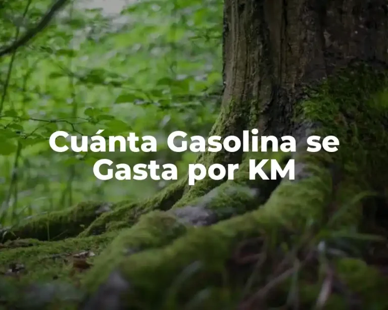 Cuánta Gasolina se Gasta por KM