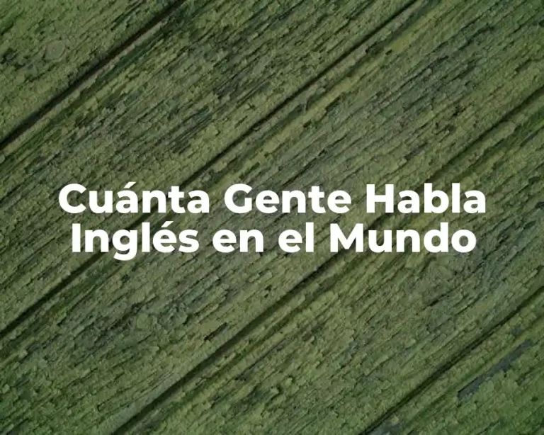 Cuánta Gente Habla Inglés en el Mundo