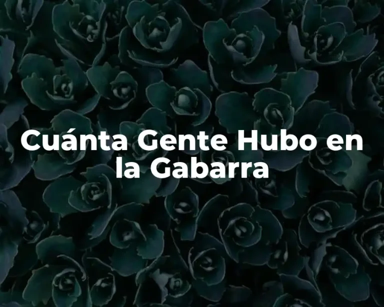 Cuánta Gente Hubo en la Gabarra