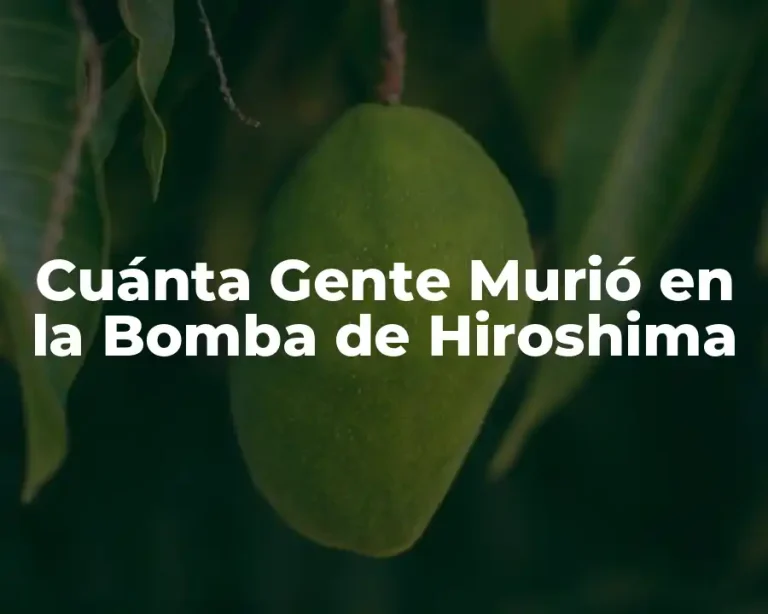 Cuánta Gente Murió en la Bomba de Hiroshima