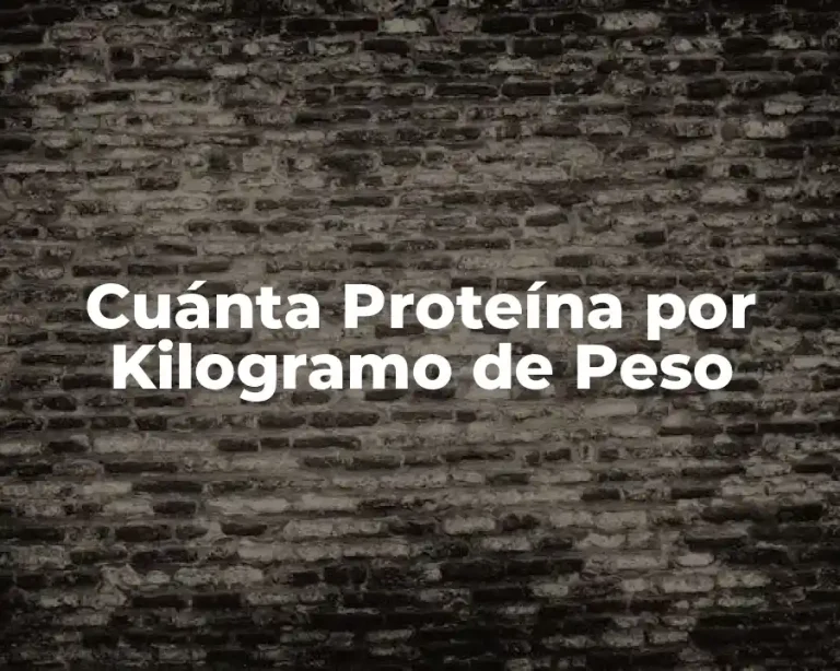 Cuánta Proteína por Kilogramo de Peso
