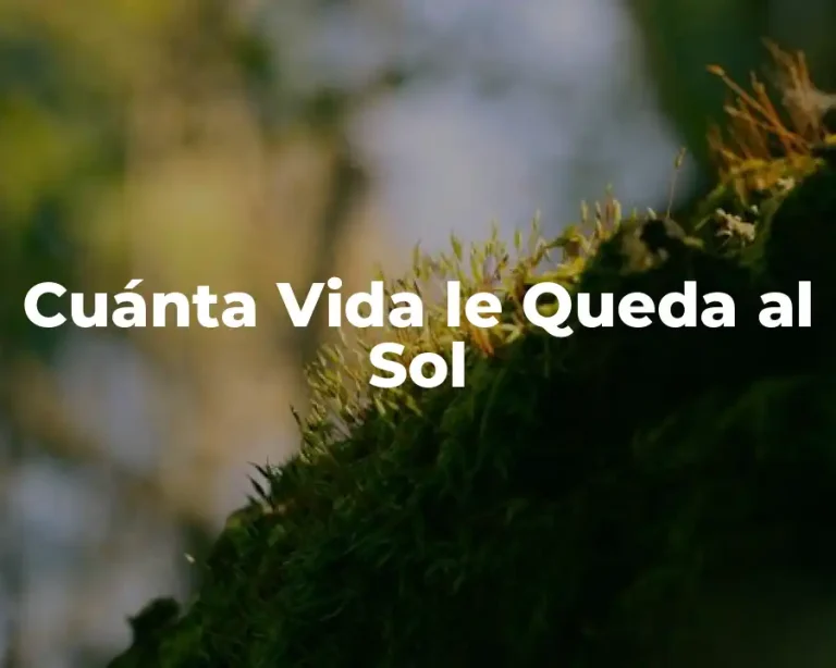 Cuánta Vida le Queda al Sol