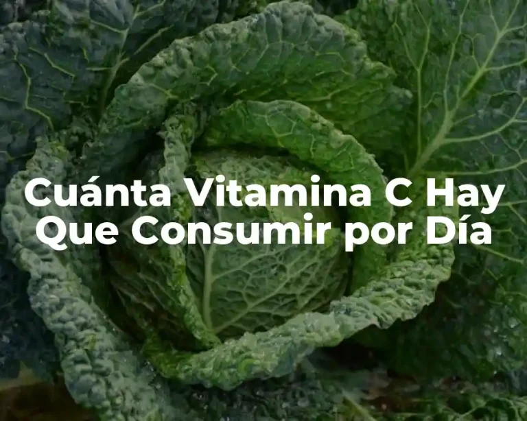 Cuánta Vitamina C Hay Que Consumir por Día