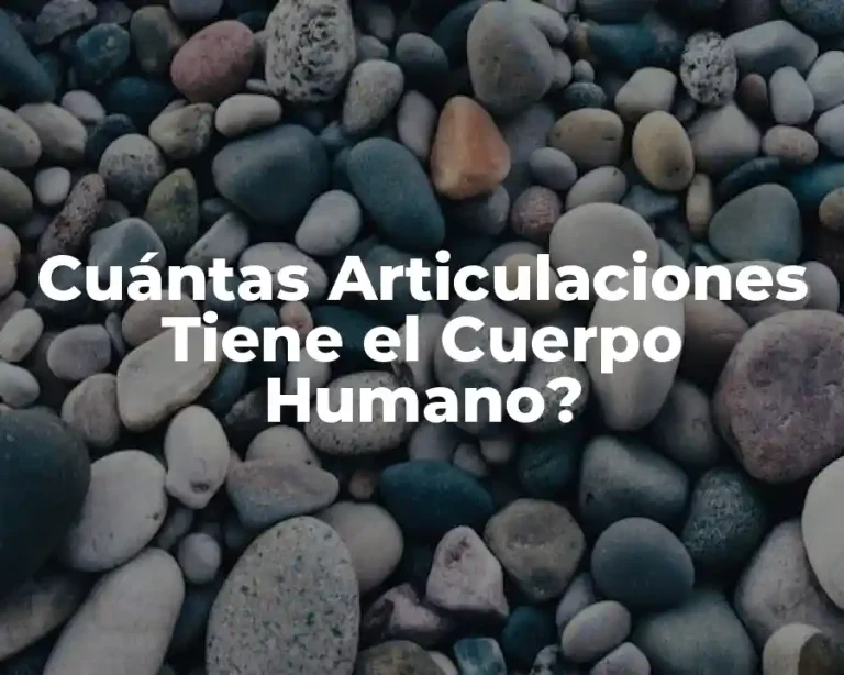 Cuántas Articulaciones Tiene el Cuerpo Humano?